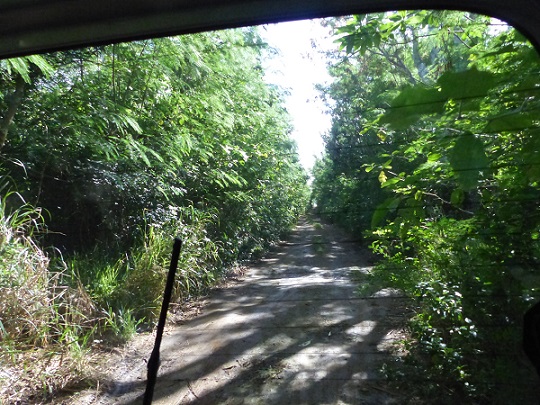 The narrow road where we searched for the nature reserve
